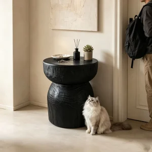 Modern Black Magnesium Oxide Medieval Style End Table Chubby Accent Side Table for Sofa Movable Decorative Coffee Table for