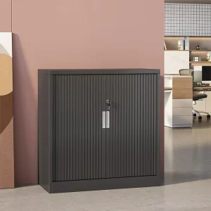 Modern Bulk Filing Cabinet Removable Dividers Metal Office Storage Home Office School Hospital Use Customizable Folder