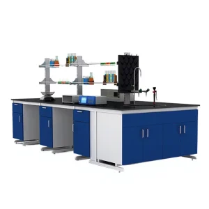 Modern Chemical Physical Laboratory Table Work Bench School Hospital Use Lab Working Benches