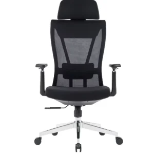 Modern Contemporary Ergonomic Mesh Executive Office Chair with Adjustable Armrests and Swivel Function