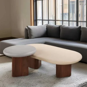 Modern Contemporary Walnut Paint Base Coffee Table Minimalist Living Room Furniture with Tea End Table Design