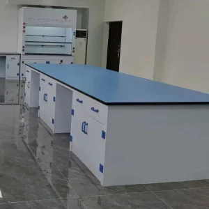 Modern Corrosion Resistant PP Laboratory Table for Laboratory School and Hospital Lab Bench