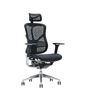 Modern Design Adjustable Office Chair Ergonomic Chair Office Mesh Office Chair