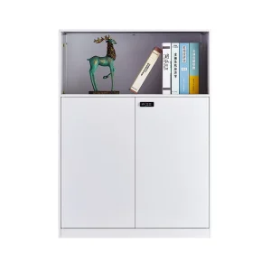 Modern Design Metal Filing Cabinet Lockable Large Capacity Durable for Office Home School Workshop