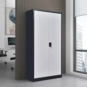 Modern Design Steel Filing Cabinet Adjustable Height Mail Packed Commercial Use Office Outdoor Gym Hotel Home Office Settings