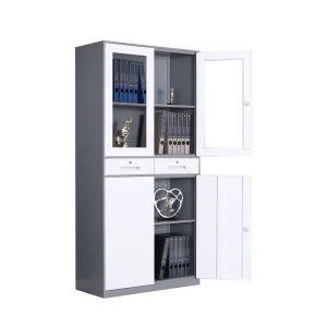 Modern Design Steel Gray Metal Filing Cabinet with 2 Drawers Closet Document Storage Glass Doors for Home Office or School