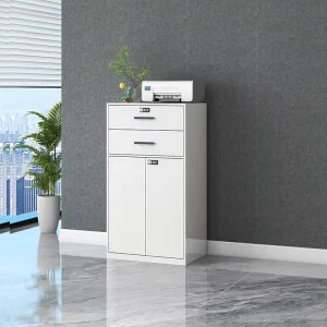 Modern Design Steel Storage File Cabinet with Vertical Drawers Office Furniture for School Living Room Dining Hospital Use