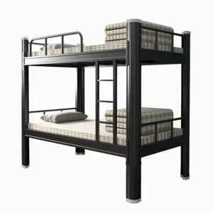 Modern Double Bed Bunk Modern Double Apartment Bed Dormitory Bed for Adult Bedroom Apartment or School Use