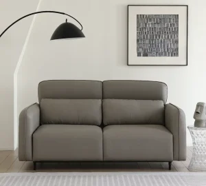 Modern Double Folding Bed Sofa Convertible Guest Room Mattress Extendable Sponge PU Leather Scratch resistant Apartment
