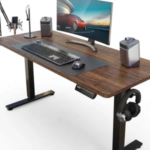 Modern Double Motor Electric Standing Desk Width Adjustable Frame Wooden Top Office Computer Workstation Desk