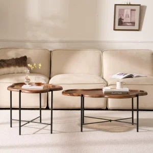 Modern Elegant Solid Wood Multifunctional Tea & Coffee Table