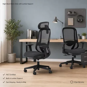 Modern Ergonomic Adjustable Mesh Office Chair with Lumbar Support High Back Swivel FS C Certified Fast Shipping