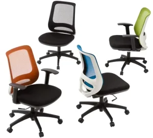 Modern Ergonomic Office Chair with Lift Mesh Adjustable Height Armrests Self Weight Tilt Task Chair for the Office