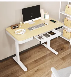 Modern Ergonomic Office Electric Height Adjustable Sit to Stand Desk with Drawer and USB Type C Aluminum Construction
