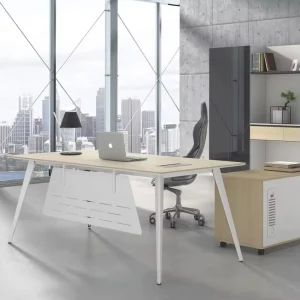 Modern Executive Computer Desk Wood Eco Friendly Durable Storage Freestanding Commercial Office Furniture Home Office Use