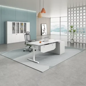 Modern Executive Computer Office Desk Drawer Contemporary Luxury Office Standing Desk