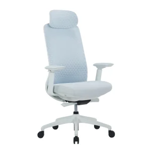 Modern Executive Mesh Office Chair with Ergonomic Features Adjustable Lumbar Support Revolving Seat Customizable Color