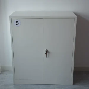 Modern File Cabinet 2 Door Low Metal File Storage Cabinet for School Office Storage Documents