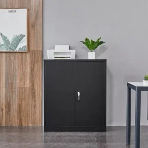 Modern File Cabinet 2 Door Low Metal File Storage Cabinet for School Office Storage Documents