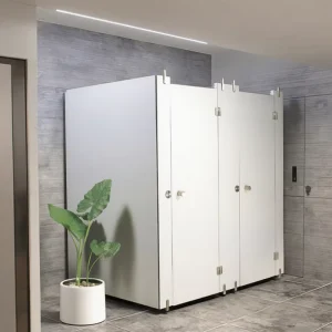 Modern Floor Mounted Public Toilet Cubicle Partition WC Mall School Bathroom Shower Room Hospital Hotel Gym Use Compact Laminate
