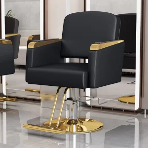 Modern Gold Base Hairdressing Styling Chair Professional Barber Chair