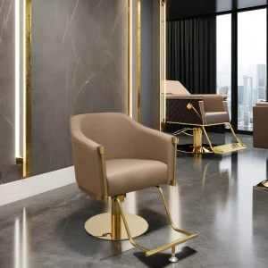 Modern Gold Metal Gray Hydraulic Reclining Hairdressing Chair Salon Furniture for Barber Shop Styling
