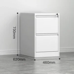 Modern Grey White Metal Vertical Lateral File Cabinet Panel Style for Home Office School Hospital Living Room Convention