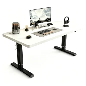 Modern Home Office Desk Height Adjustable with Pulley Movable Upright Gaming Table
