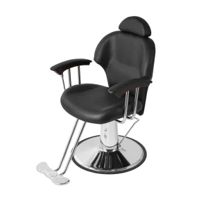 Modern Hydraulic Barber Chair Styling Salon Chair with Reclining Backrest Heavy Duty Base for Hair Salon Beauty Spa Equipment