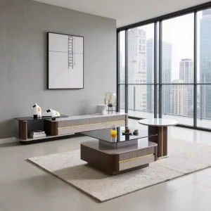 Modern Light Luxury Living Room Furniture Coffee Table Combination Minimalist Wood Frame Artificial Stone Top Multifunctional