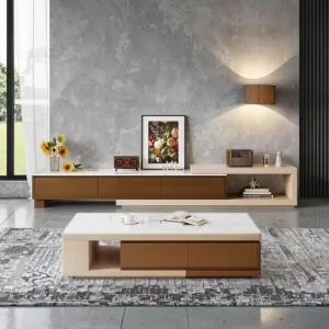 Modern Light Luxury Rectangle Coffee Table Slab TV Cabinet & Stand Combination Set with Adjustable Features for Small Apartment