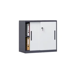Modern Low-Profile 2-Door Sliding Steel Storage Organizer Adjustable for Gym Bedroom Office Metal Storage Cabinet