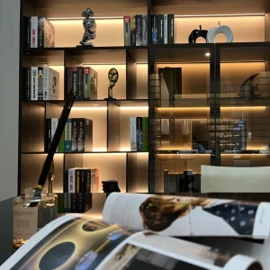 Modern Luxurious Solid Wood Bookcase with Lighted Bookshelf and Tinted Glass Door for Home or School Bathroom Furniture