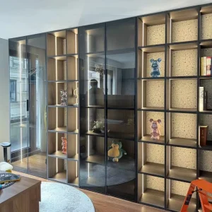 Modern Luxury LED Door Bookcase Minimalist Modular Wall System Display Cabinet Integrated Lighting Living Room Furniture Home