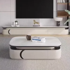 Modern Luxury Oval Sintered Stone Coffee Table and TV Stand Set Minimalist Living Room Furniture Combo
