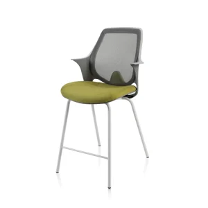 Modern Mesh Office Chair Breathable Back Fixed Armrest Cross Footrest White Powder Coated Steel Base Integrated Lumbar Support