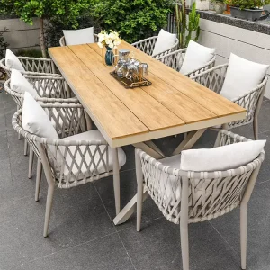 Modern Metal Chaise Stoel Balcony Chair with Woven Backrest and Soft Cushion for Afternoon Tea Bedroom & Park Use