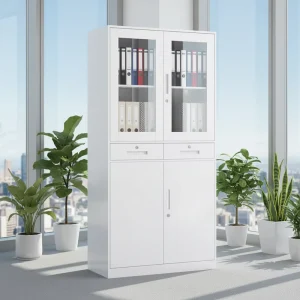 Modern Metal Filing Cabinet with Glass Doors 2 Drawers Adjustable Height Key Lock Home Office Hotel Living Room Hospital