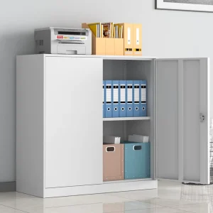 Modern Metal Filing Cabinets Lockable Storage Cabinets with 2 Layer Shelves Offices Schools Hospitals Factories