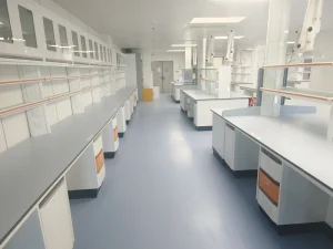 Modern Metal Laboratory Furniture for School University Hospital Use