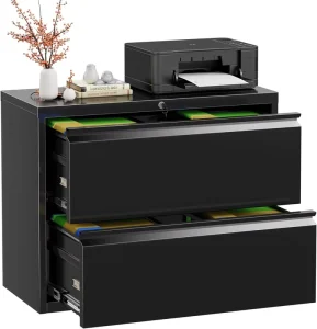Modern Metal Lateral 2-Drawer Lockable Adjustable Filing Cabinet with Customized RAL Color and Pre-Assembled for Home Office