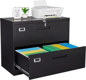 Modern Metal Lateral File Cabinets 2 Drawer Steel Wide Filing Organization Storage Cabinets for Home Office Bedroom Gym Lock