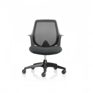 Modern Mid Back Mesh Staff Chair Height Adjustable Gas Lift Fixed Armrest Lumbar Support Eco Friendly Nylon Base Swivel Office