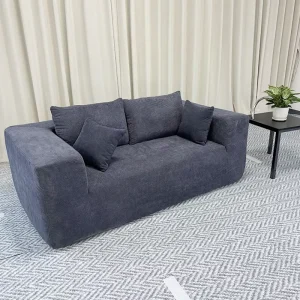 Modern Minimalist Apartment Living Room Furniture Two Seat Chenille Sofa with Sponge Filling Vacuum Compression