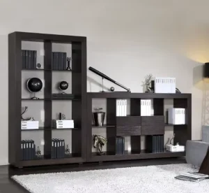 Modern Minimalist Bookshelf with Storage Space