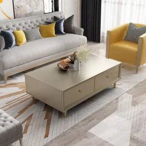 Modern Minimalist Champagne Coffee Table Matte Finish Living Room Coffee Table