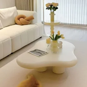 Modern Minimalist Sofa Side Table White Coffee Table Cloud Shape