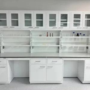 Modern New Style Hospital Life Science Research Laboratory Wall Bench Reagent Shelf Wall Cupboard Laboratory Furniture