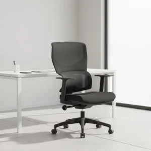 Modern Office Ergonomic Computer Desk Chair Swivel Mesh Lumbar Support Adjustable Luxury Big and Tall Chairs Nylon Furniture Set