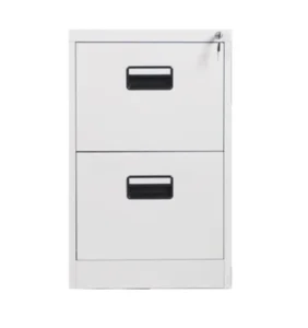 Modern Office Furniture Manufacturer Storage Cabinets with 2 Drawer Locker Metal Document Filing Cabinet Knock Down Structure